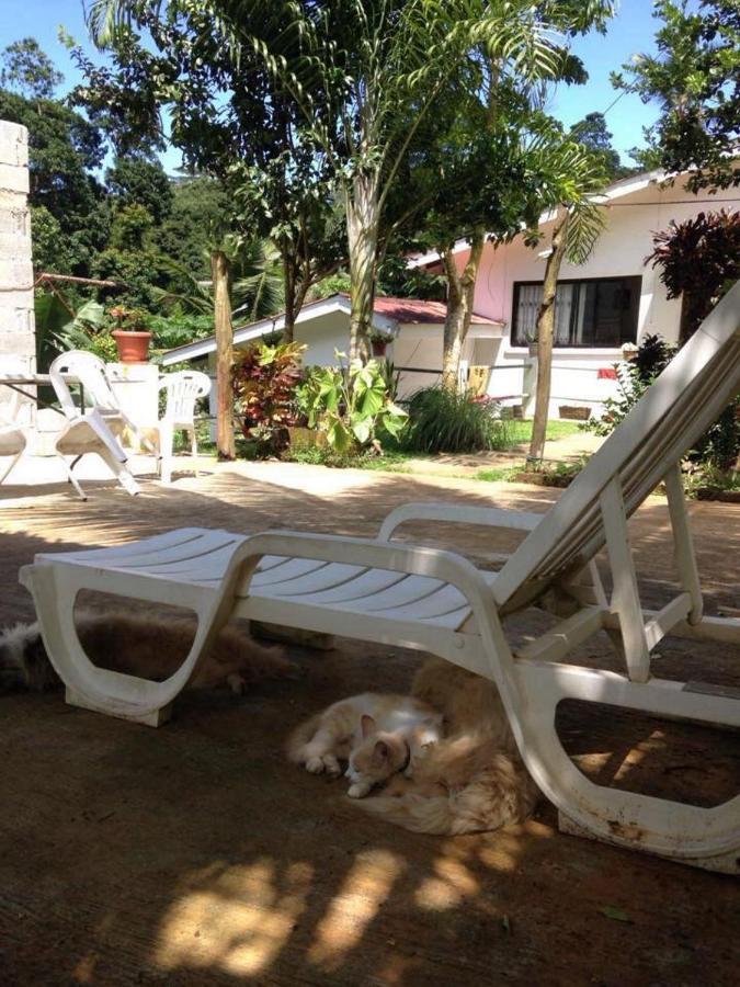 Papayas Self Catering Room ヴィクトリア エクステリア 写真
