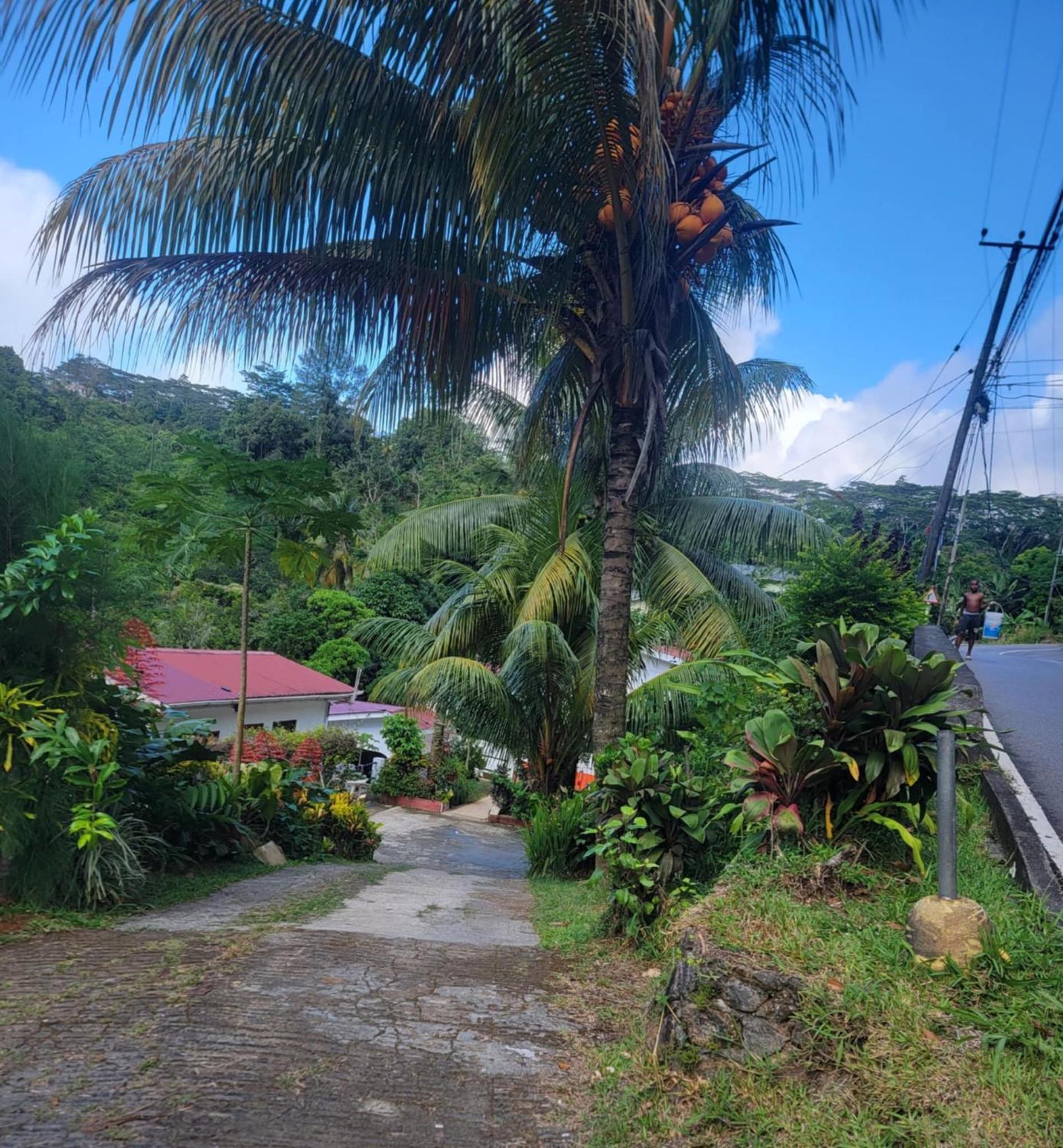 Papayas Self Catering Room ヴィクトリア エクステリア 写真
